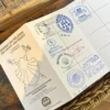 Bogos Csaba (Ambassador Club Pécs) – az El Camino-n